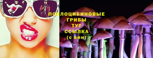 твердый Новозыбков