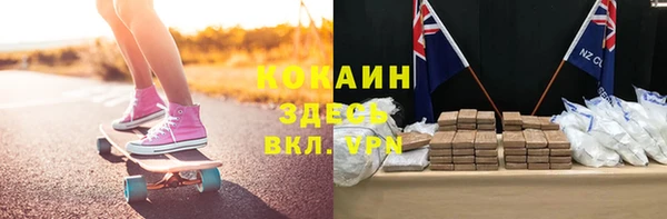 твердый Новозыбков