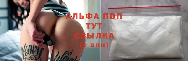 твердый Новозыбков