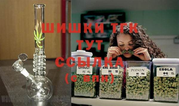 PSILOCYBIN Новокубанск