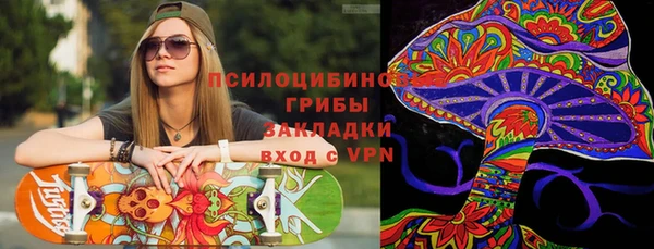 твердый Новозыбков