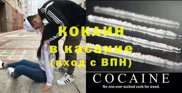 прущие крисы Куртамыш