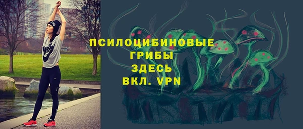 твердый Новозыбков