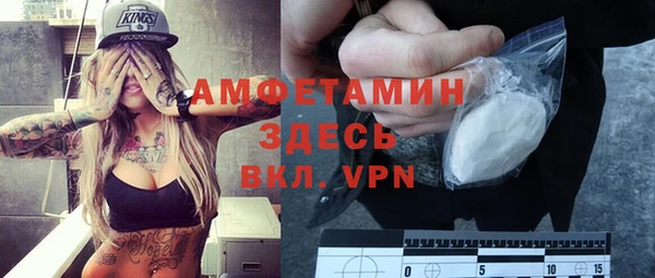 твердый Новозыбков