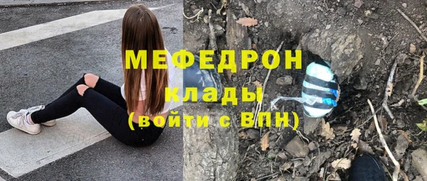 твердый Новозыбков