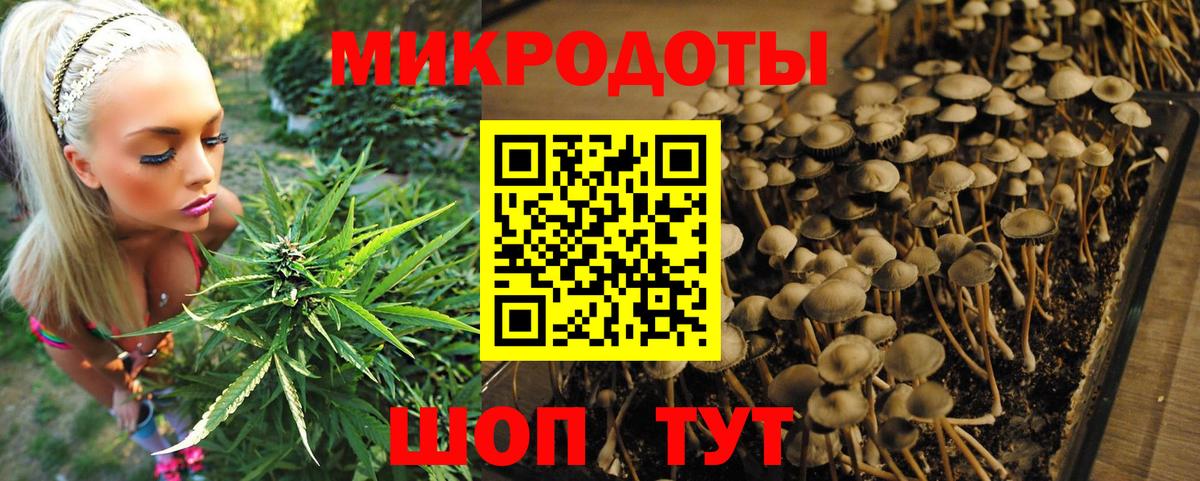 Галлюциногенные грибы Psilocybine cubensis  Галлюциногенные грибы ЛСД  Вход с VPN  Надым 